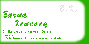 barna kenesey business card